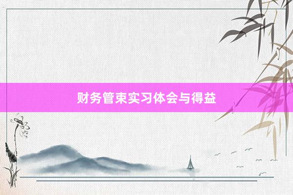 财务管束实习体会与得益