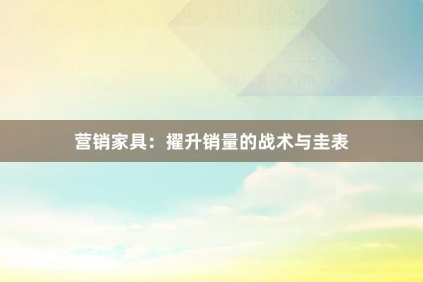 营销家具：擢升销量的战术与圭表
