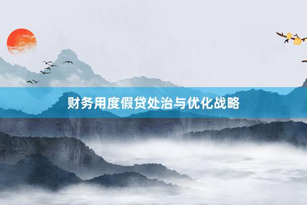 财务用度假贷处治与优化战略