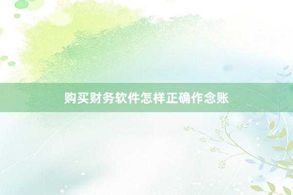 购买财务软件怎样正确作念账