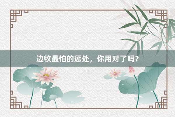 边牧最怕的惩处,你用对了吗?